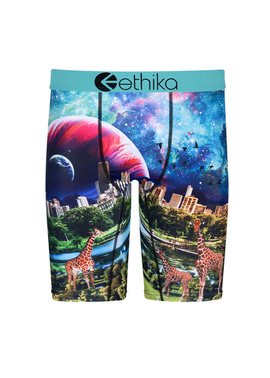 Ethika Giraffika Boy's Underwear