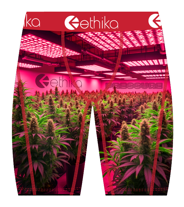 Ethika Big Motion Men's Underwear