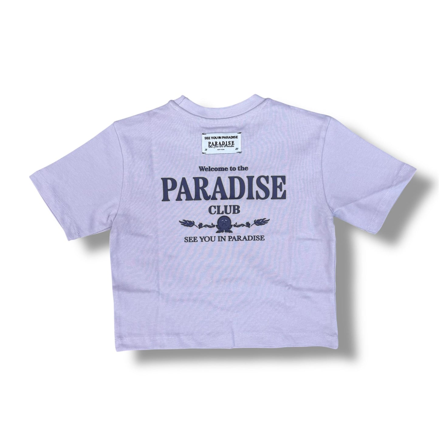Jordan Craig High Density Cropped Lavender T-Shirts Boy's