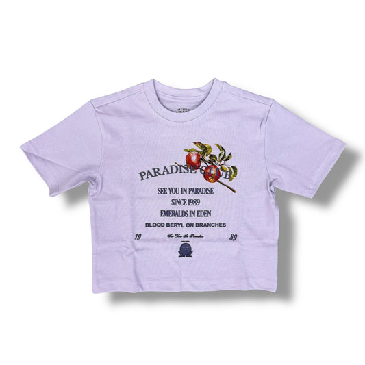 Jordan Craig High Density  Cropped Lavender T-Shirts Boy's