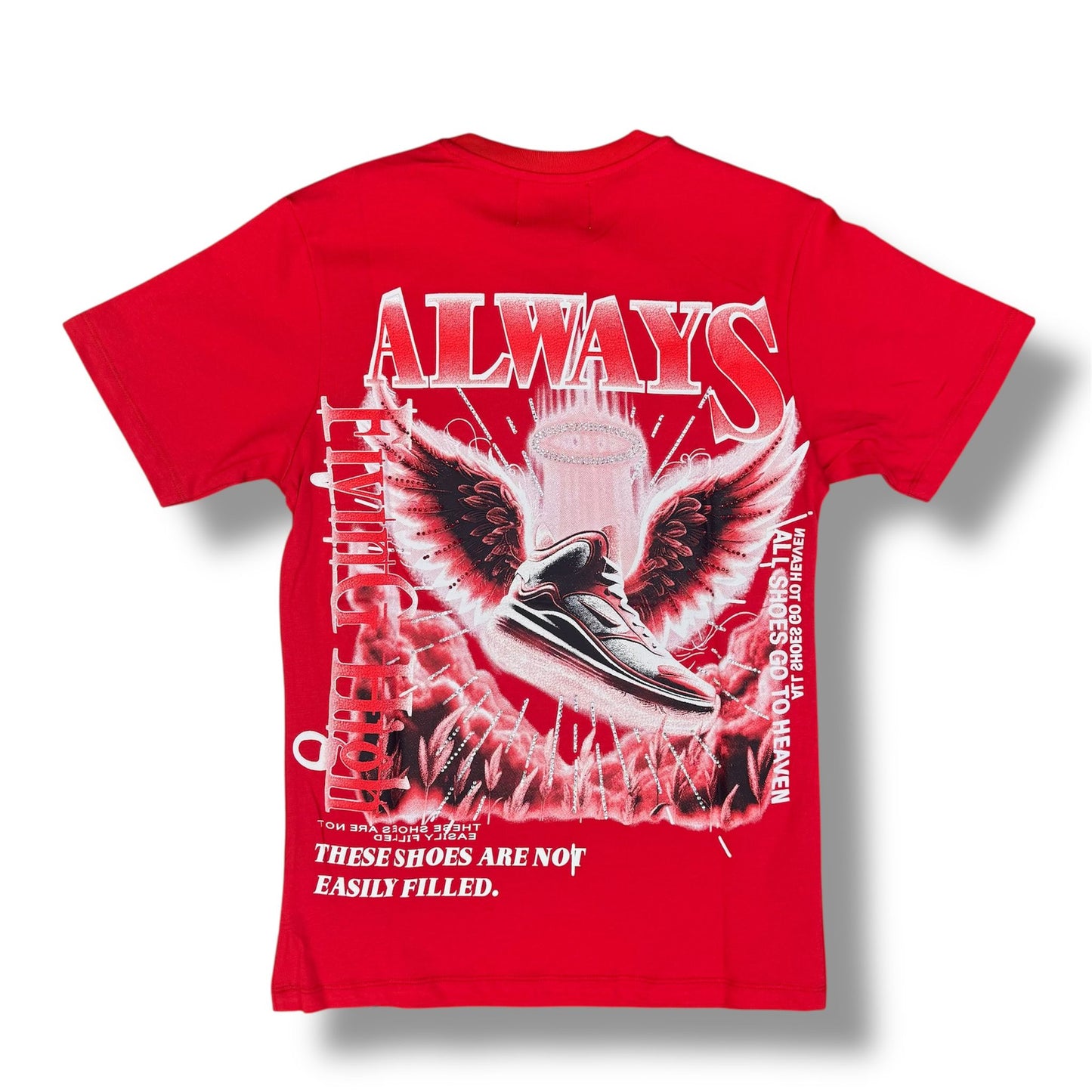 DENIMICITY ALWAYS FLING HIGH STINED OUT RED T-SHIRT