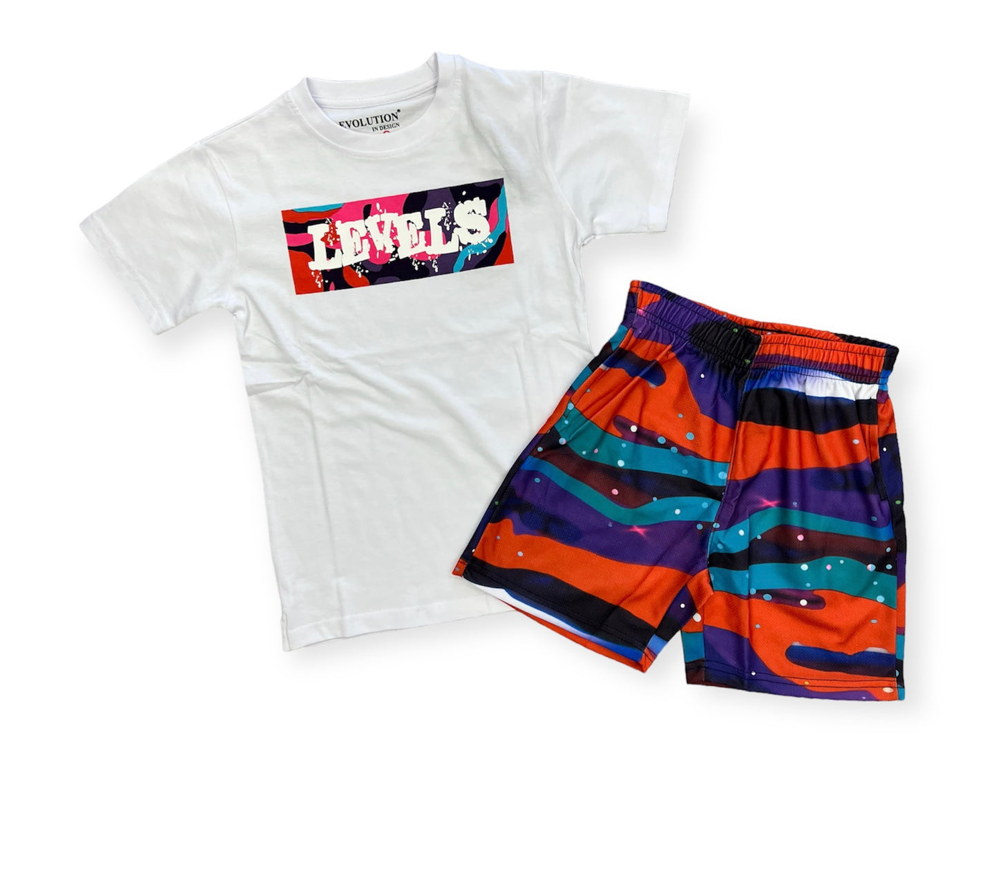 Evolution Galaxy Mesh Board Multicolor Shorts
