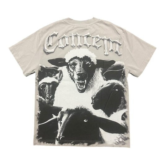 Concept "Beware" Grey Wash T-Shirt