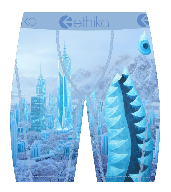 Ethika BMR City of Stillness Boy's Underwear