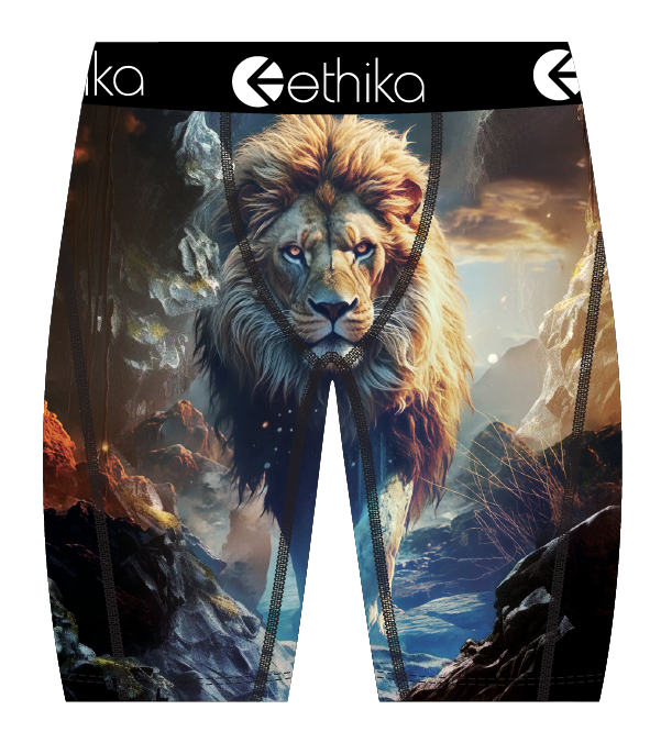 Ethika Lion Hearted Boy's Underwear