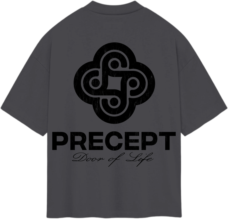Precept  Capitan Gril Printing & Rhinestone Grey T-Shirt