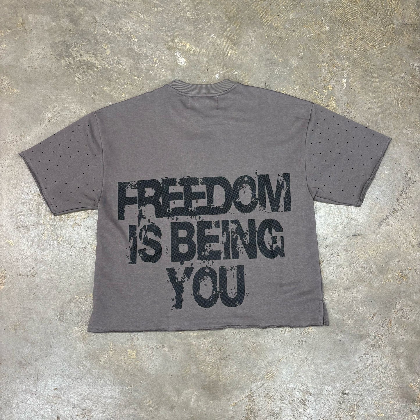 Bkys Freedom Cropped Grey T-Shirt