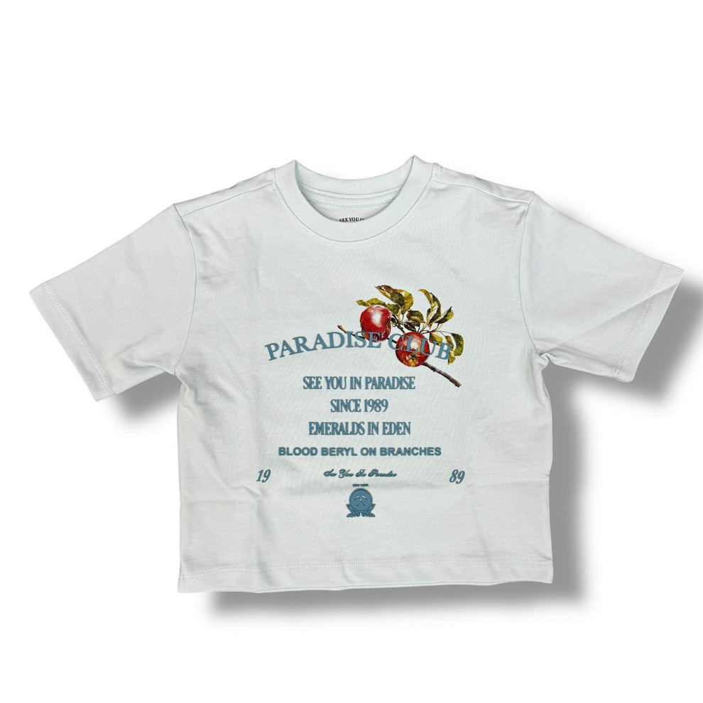 Jordan Craig High Density Cropped Costal Blue  T-Shirts Boy's