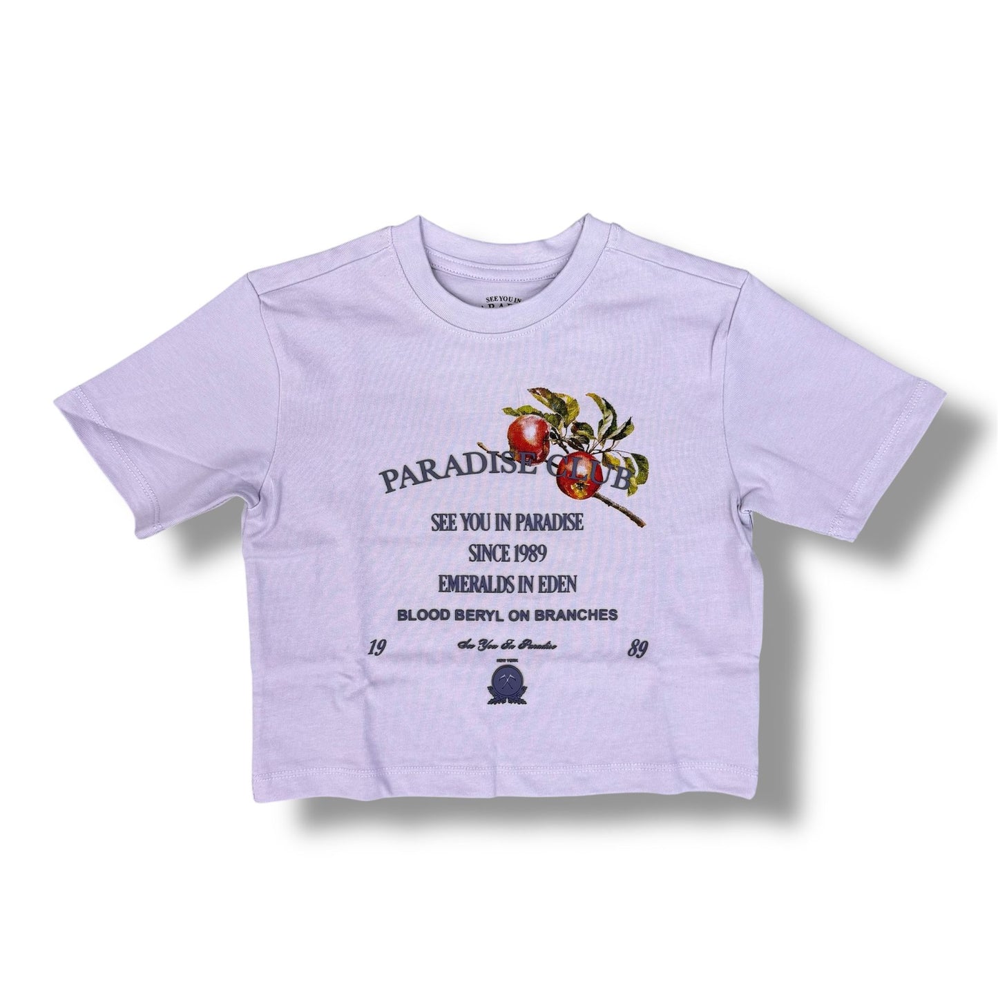 Jordan Craig High Density  Cropped Lavender T-Shirts Boy's