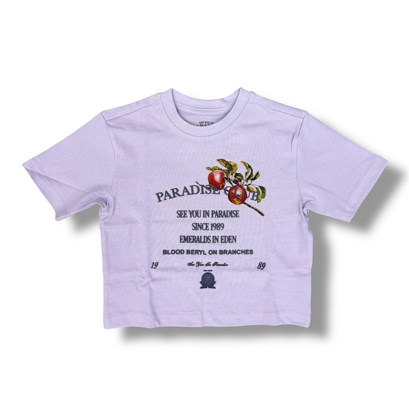 Jordan Craig High Density  Cropped Lavender T-Shirts Boy's