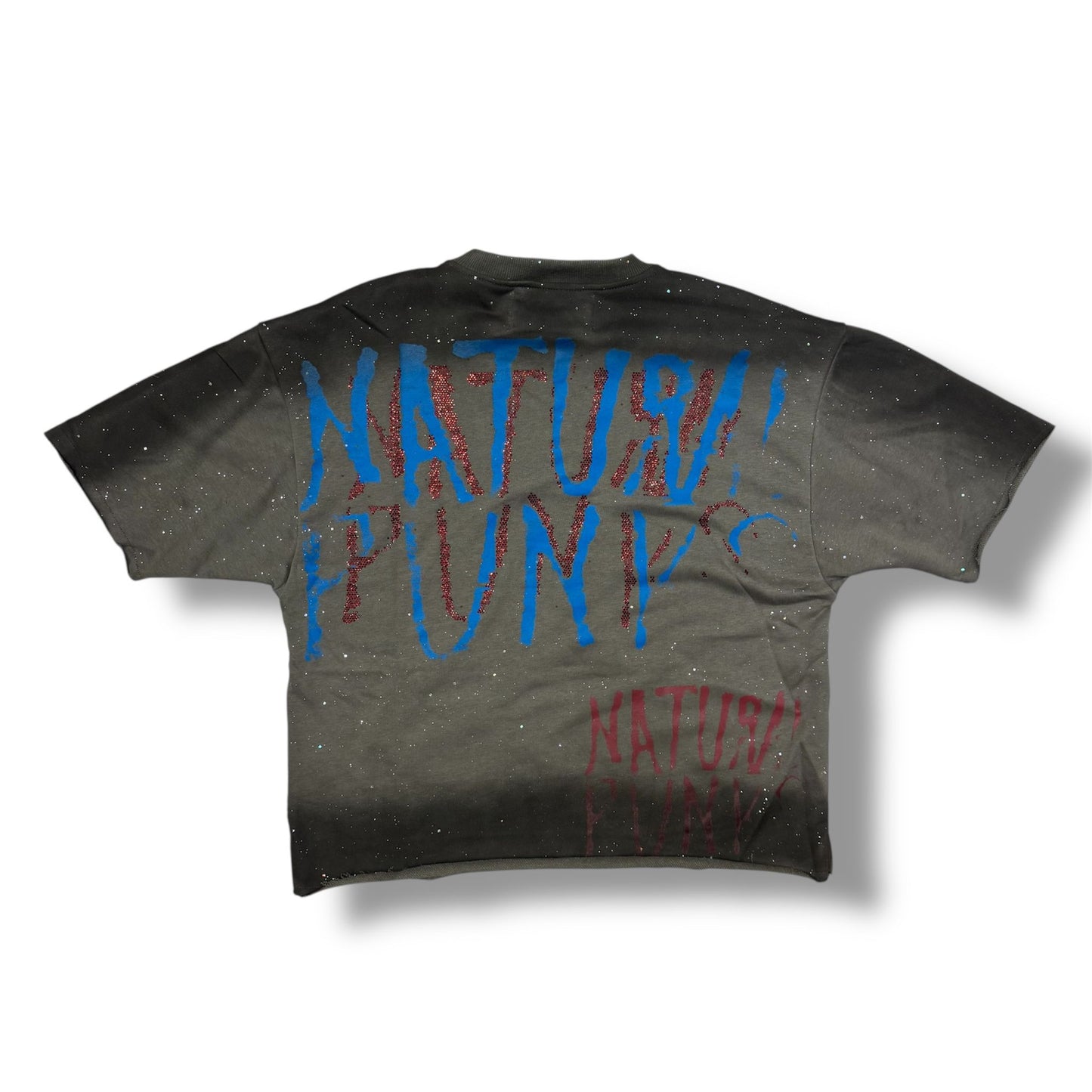 Bkys No  fear Grey Cropped T-Shirt