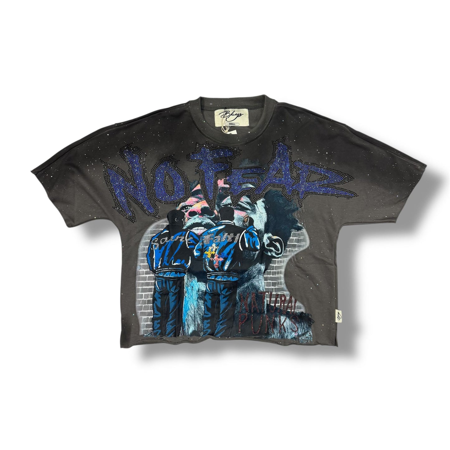 Bkys No  fear Grey Cropped T-Shirt